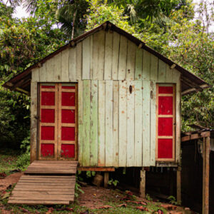 Conocer el encanto de la selva amazónica - invasión